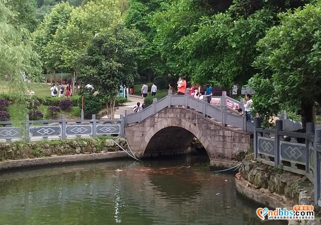 我的中国行(一二六)丨福建省宁德市蕉城区南际公园-50.jpg
