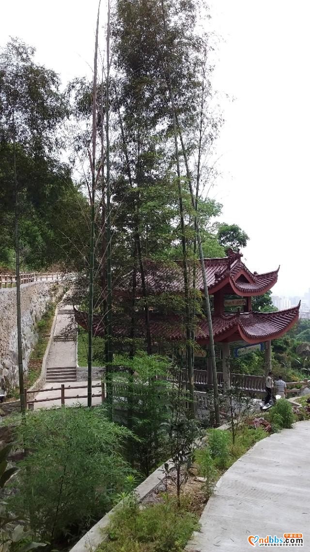 我的中国行(一二六)丨福建省宁德市蕉城区南际公园-46.jpg