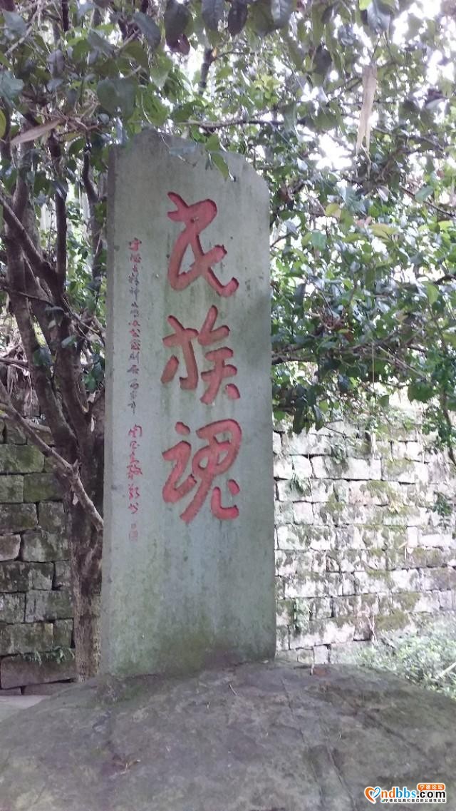我的中国行(一二七)丨福建省宁德市蕉城区戚继光公园-10.jpg