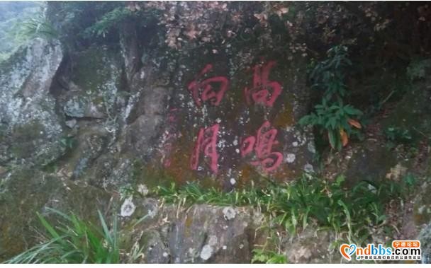 我的中国行(一二七)丨福建省宁德市蕉城区戚继光公园-20.jpg