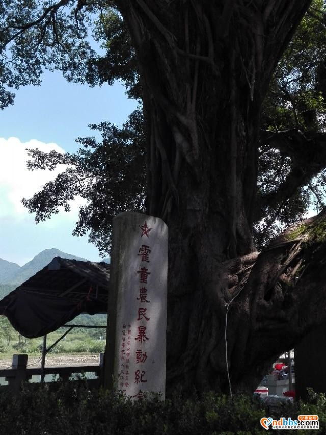 我的中国行(一二九)丨福建省宁德市蕉城区霍童古镇-53.jpg