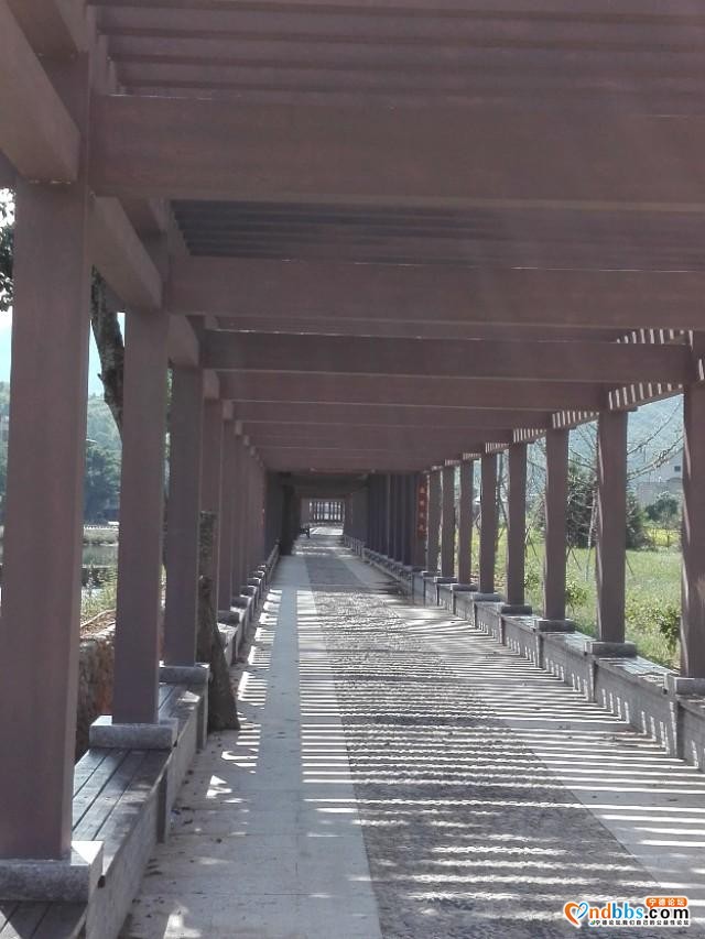 我的中国行(一三O)丨福建省宁德市蕉城区洋中古镇东山古村-42.jpg
