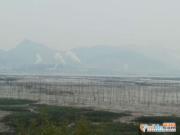 如何落实“绿水青山就是金山银山”？-2.jpg