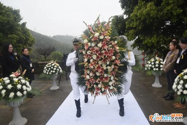 别样清明一样情，清明“代祭” 寄哀思-5.jpg