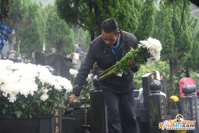 别样清明一样情，清明“代祭” 寄哀思-9.jpg