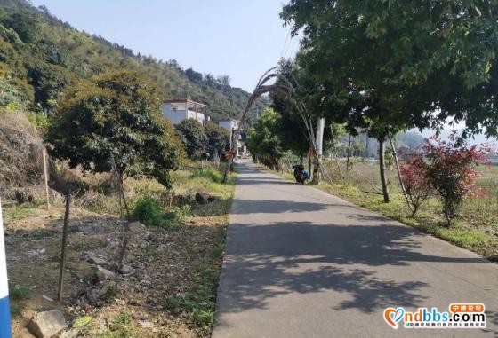 “三轮驱动”扮靓农村人居环境，这个做法亮了-7.jpg