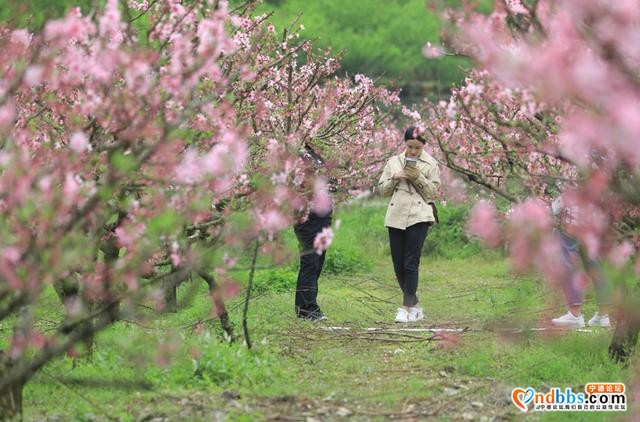 宁德：各地景区有序开放-5.jpg