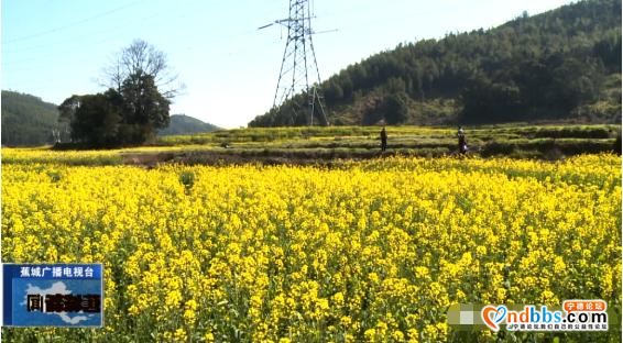 快讯！蕉城区33名乡村振兴指导员出征-4.jpg