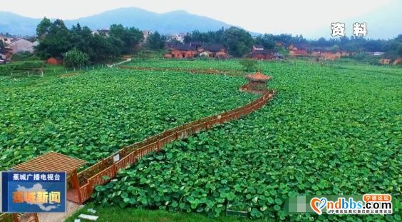 快讯！蕉城区33名乡村振兴指导员出征-5.jpg