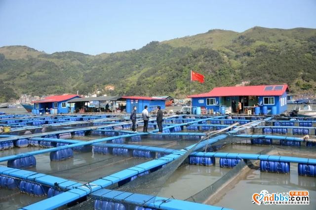 三都严防疫情海上输入，筑牢“海上防疫墙”-6.jpg