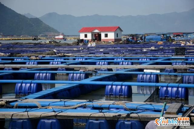 三都严防疫情海上输入，筑牢“海上防疫墙”-9.jpg