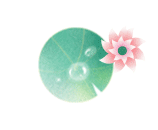 宁德又新添一处花海公园，春暖花开待君至～-5.jpg