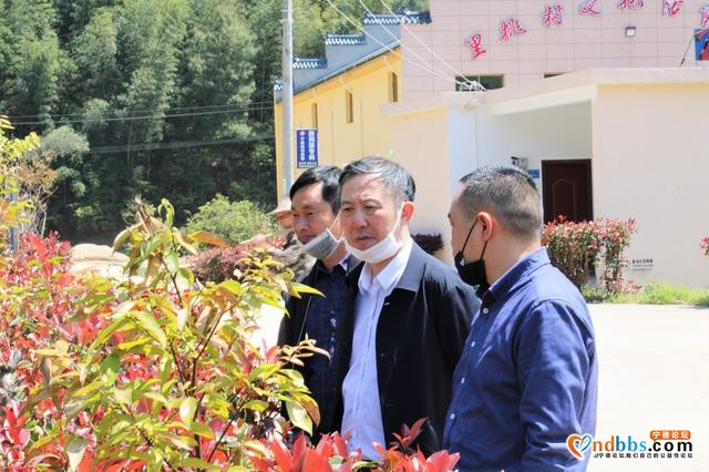 福建宁德：助力乡村振兴 贡献政协力量-5.jpg