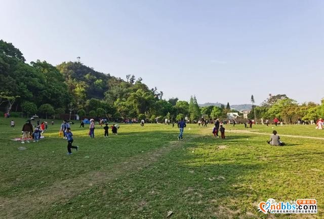 春暖花开！城区各大公园有序开放-2.jpg