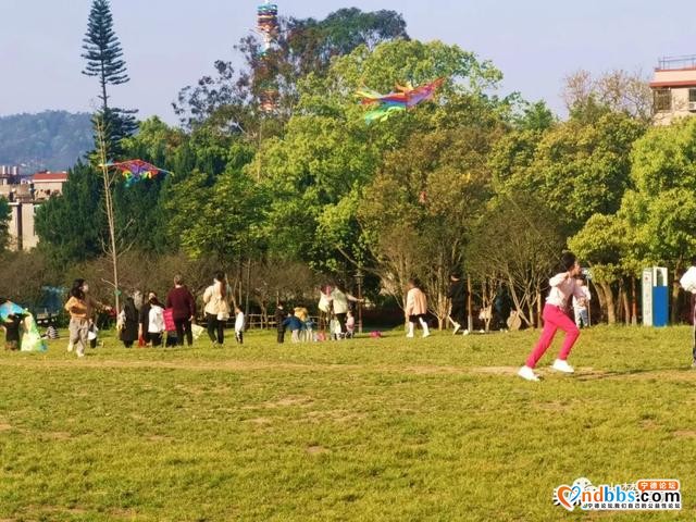 春暖花开！城区各大公园有序开放-6.jpg