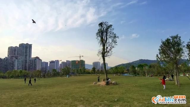 春暖花开！城区各大公园有序开放-1.jpg