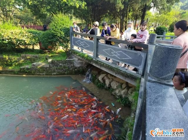 春暖花开！城区各大公园有序开放-9.jpg