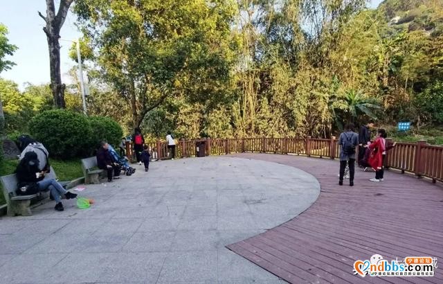 春暖花开！城区各大公园有序开放-10.jpg