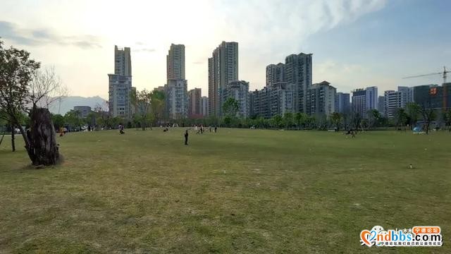 春暖花开！城区各大公园有序开放-16.jpg