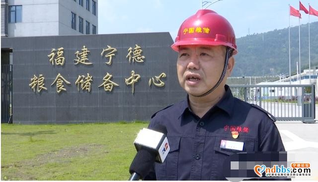 要不要囤粮？记者探访宁德最大粮仓，给你十足“安全感”-7.jpg