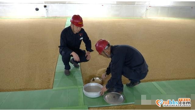 要不要囤粮？记者探访宁德最大粮仓，给你十足“安全感”-6.jpg