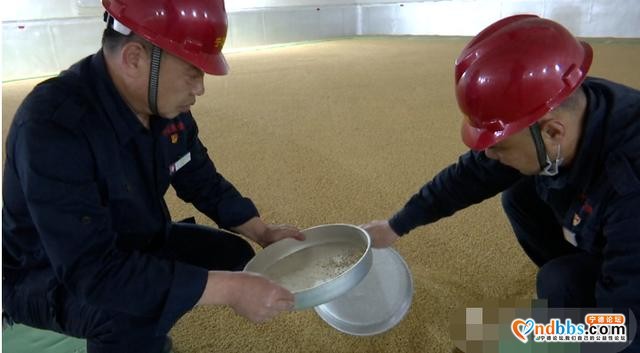 要不要囤粮？记者探访宁德最大粮仓，给你十足“安全感”-2.jpg