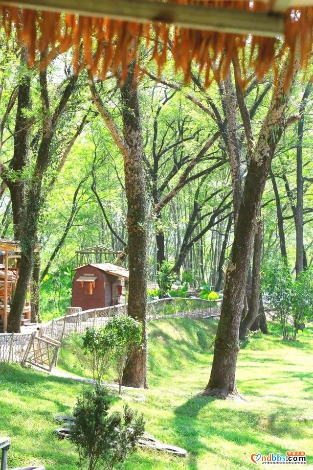宁德︱湖头古村悄蝶变，美景如画来……-5.jpg
