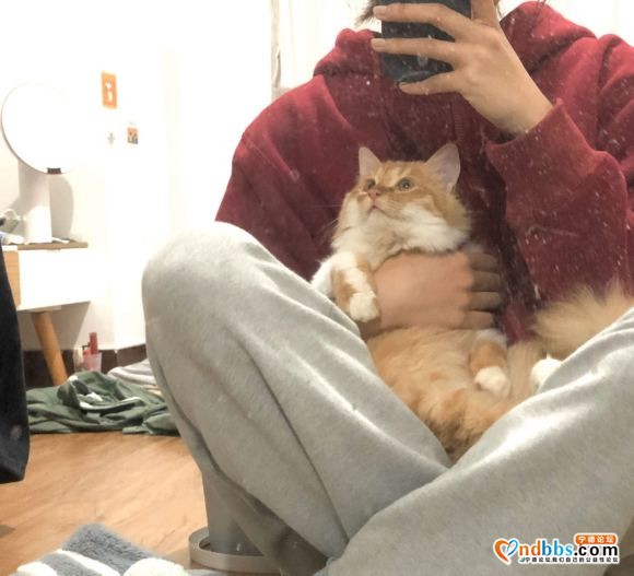 长毛橘有人要吗-3.jpg