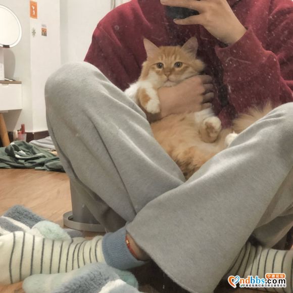 长毛橘有人要吗-4.jpg