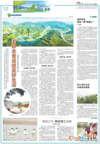 蕉城之美在于水，带您探寻这里的水环境整治……-3.jpg