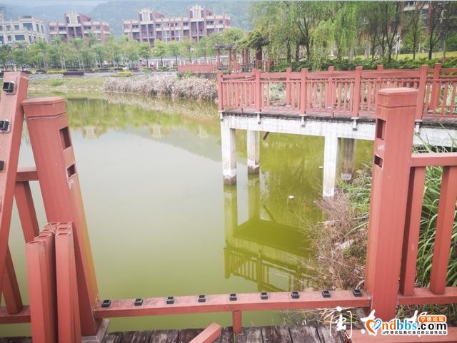 蕉城金溪公园湖边观景台护栏多处缺失破损 存在安全隐患-5.jpg