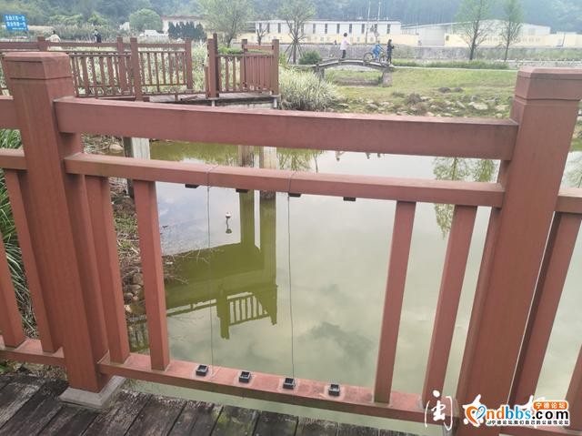 蕉城金溪公园湖边观景台护栏多处缺失破损 存在安全隐患-4.jpg
