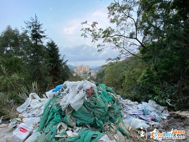 《蕉城区漳湾镇溪口村：拆了养猪场、却成垃圾场》追踪-4.jpg