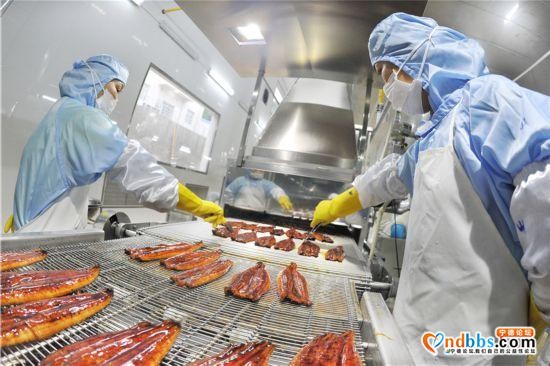 宁德蕉城：水产加工企业赶订单-1.jpg