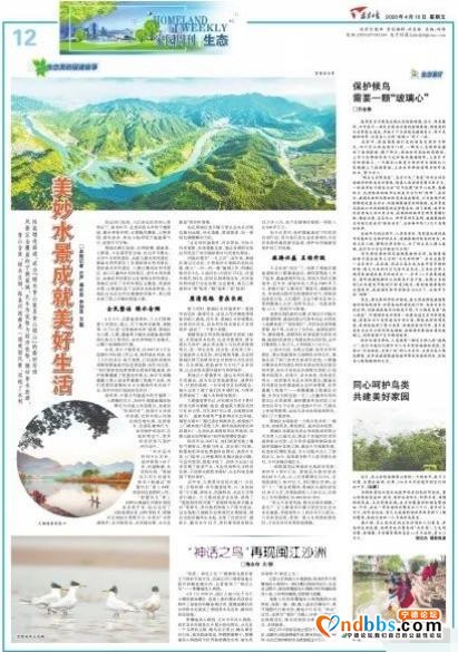 蕉城之美在于水，带您探寻这里的水环境整治-3.jpg