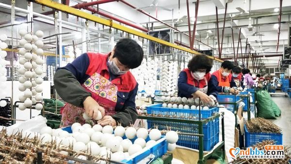 宁德市企业全力复工复产，尽最大努力-2.jpg
