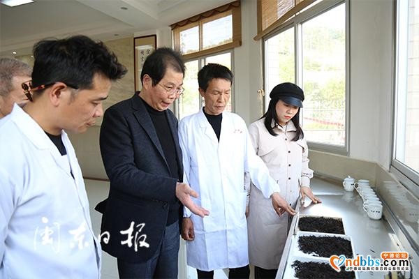闽东乡村振兴研究院组织专家指导茶企茶农春茶生产-1.jpg