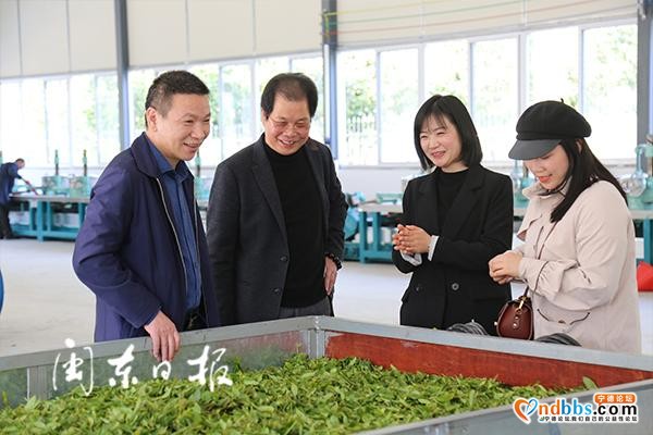 闽东乡村振兴研究院组织专家指导茶企茶农春茶生产-2.jpg