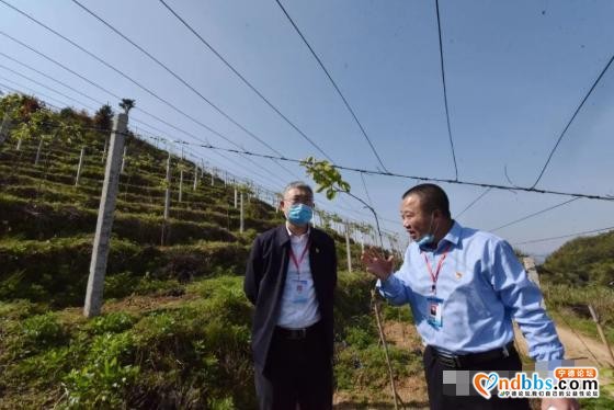 实地调研、现场“把脉”！乡村振兴怎么干，何区长这样说-5.jpg