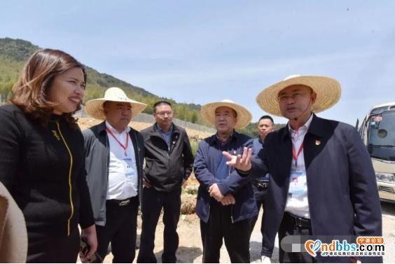 实地调研、现场“把脉”！乡村振兴怎么干，何区长这样说-1.jpg
