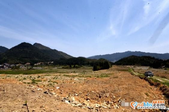 实地调研、现场“把脉”！乡村振兴怎么干，何区长这样说-8.jpg