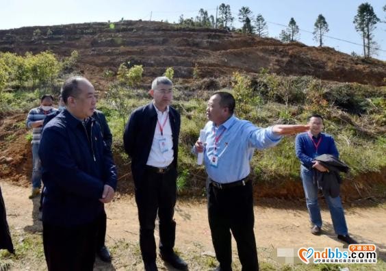 实地调研、现场“把脉”！乡村振兴怎么干，何区长这样说-7.jpg