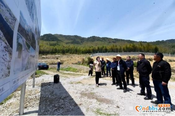 实地调研、现场“把脉”！乡村振兴怎么干，何区长这样说-9.jpg