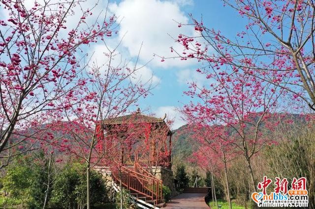 福建宁德景区逐步开放 旅游回暖-1.jpg