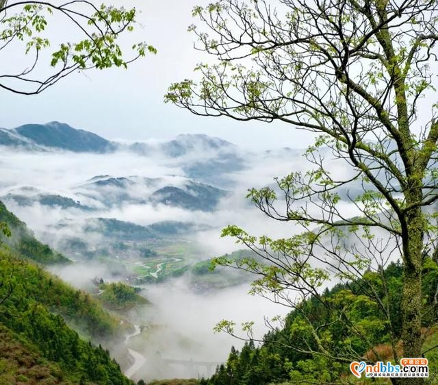 宁德 | 春季 初见凤田，一见倾心-3.jpg