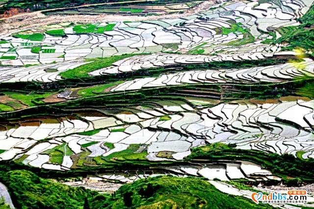 宁德 | 春季 初见凤田，一见倾心-6.jpg