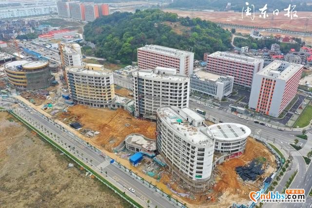 东侨新能源三期项目工程建设稳步推进 | 复工复产进行时-1.jpg