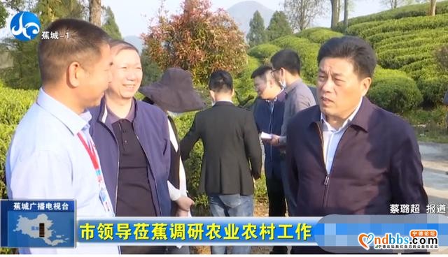 蕉城农业农村工作如何提升？市领导到蕉城调研时这样说-2.jpg