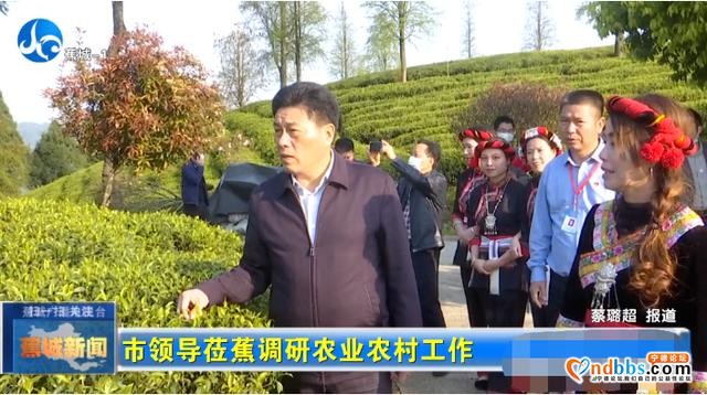 蕉城农业农村工作如何提升？市领导到蕉城调研时这样说-1.jpg