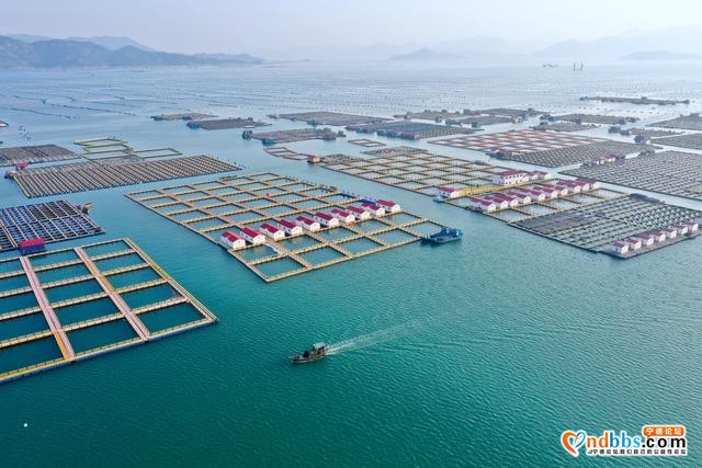 福建宁德：海上综合整治显成效-1.jpg